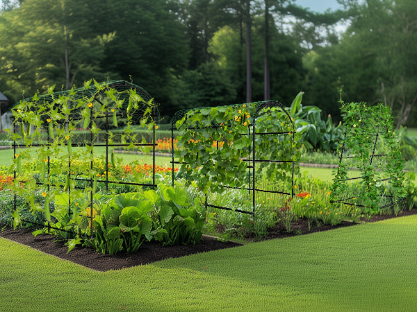 Garden Trellis for Climbing Plants