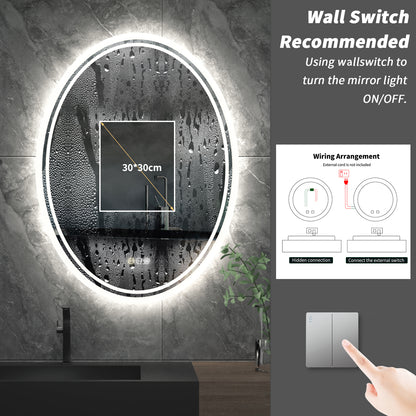 Oval Dimmable Backlight Lighted Bathroom Mirror