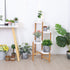 4 Tiers Cute Plants Stand Holder