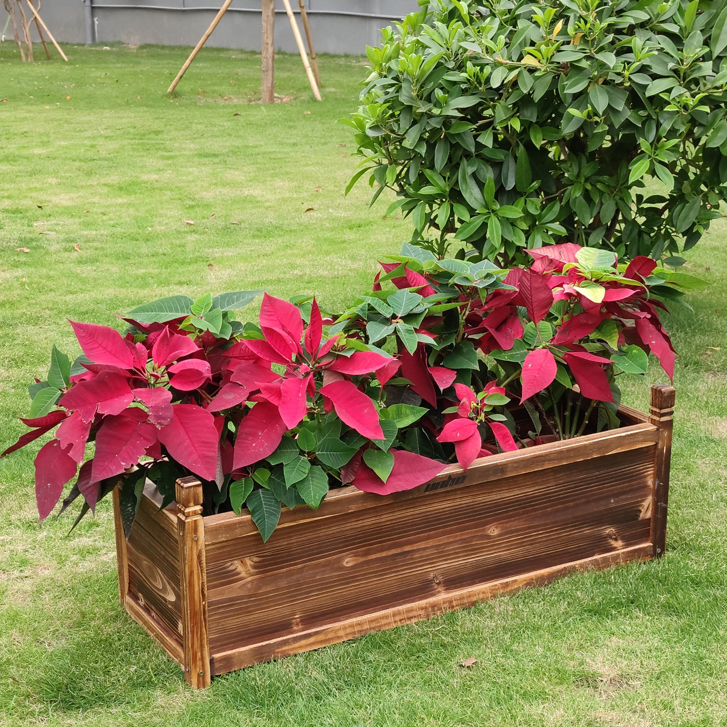 Wooden Planter Box Raised Bed