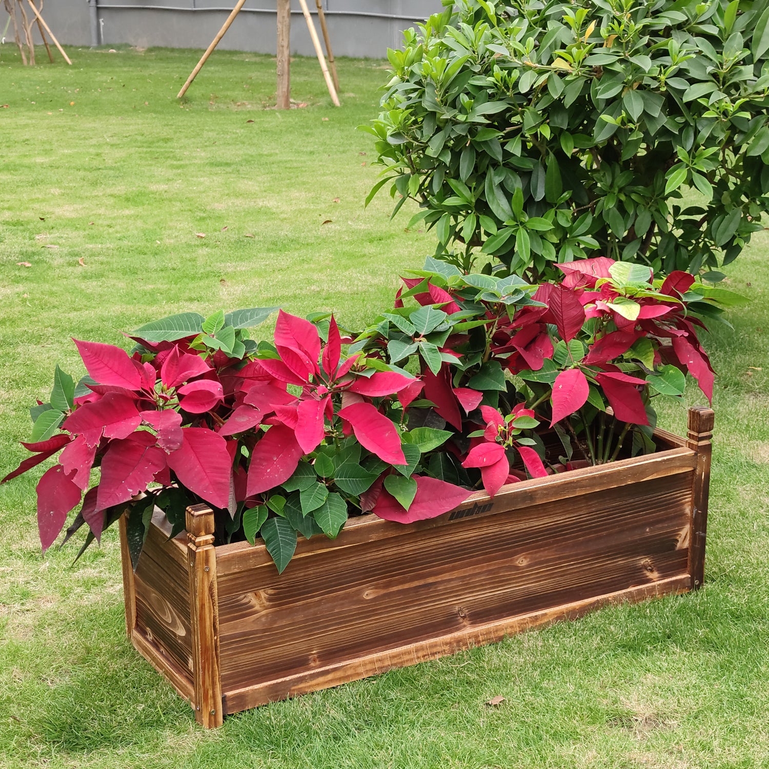 Wooden Vegetable Planter Bed -Medium